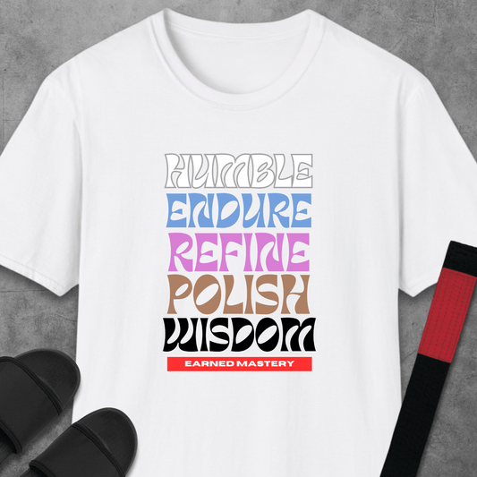 Stages of Mastery T-Shirt